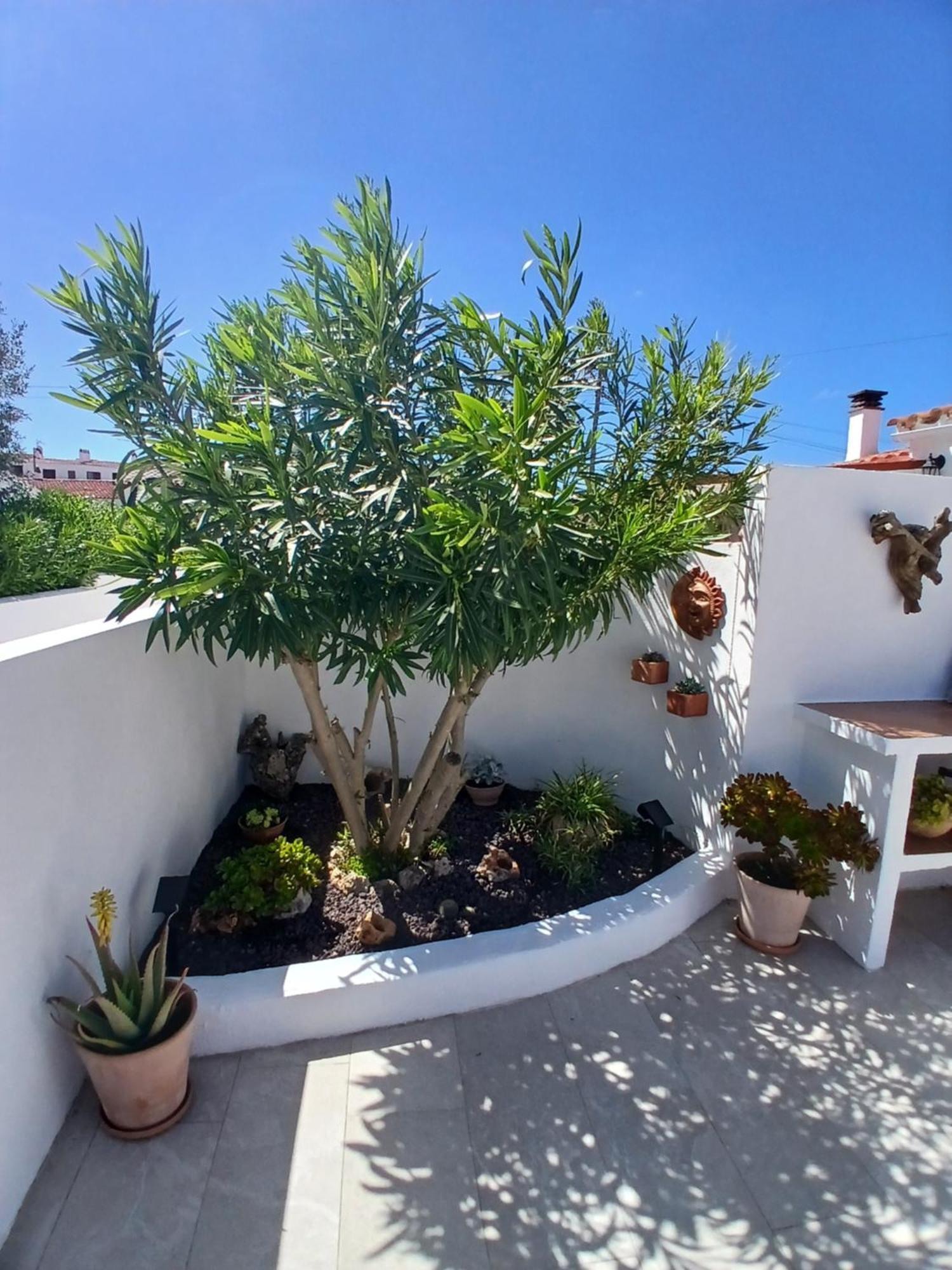 Tramontana Villa Cala En Porter  Luaran gambar